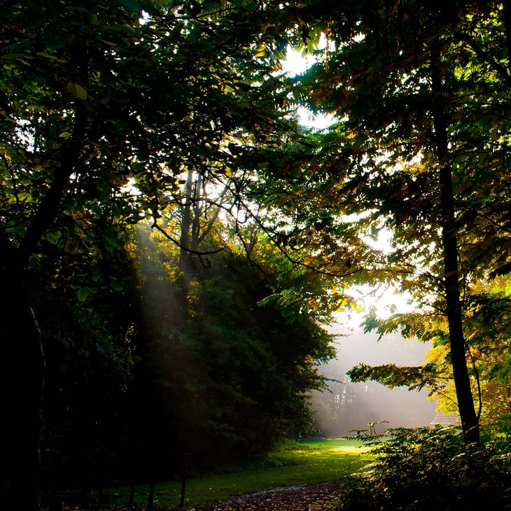 de-gavers-harelbeke-park