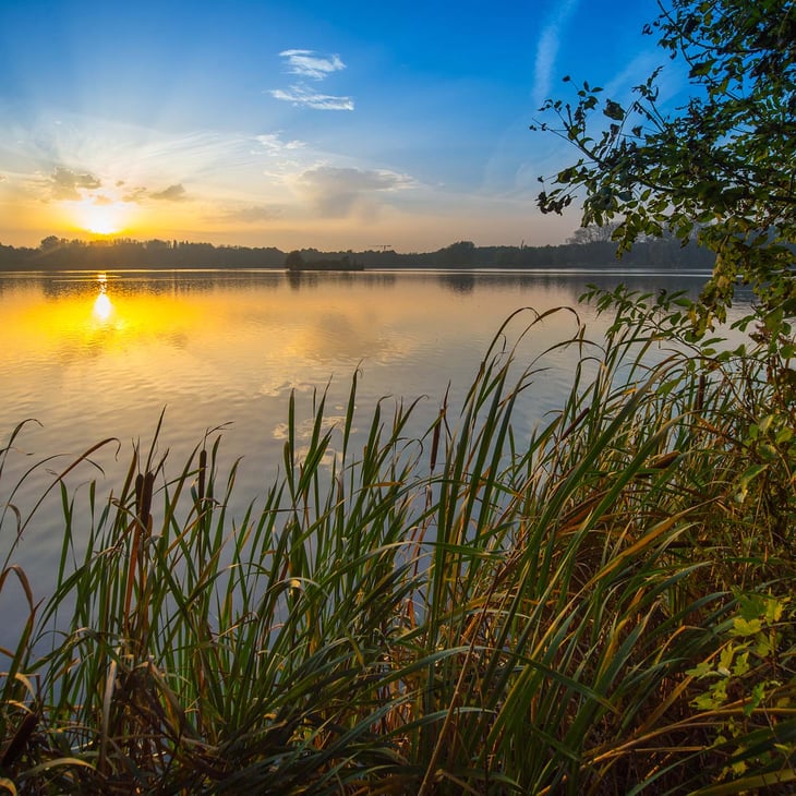 de-gavers-harelbeke-zonsopgang-vierkant