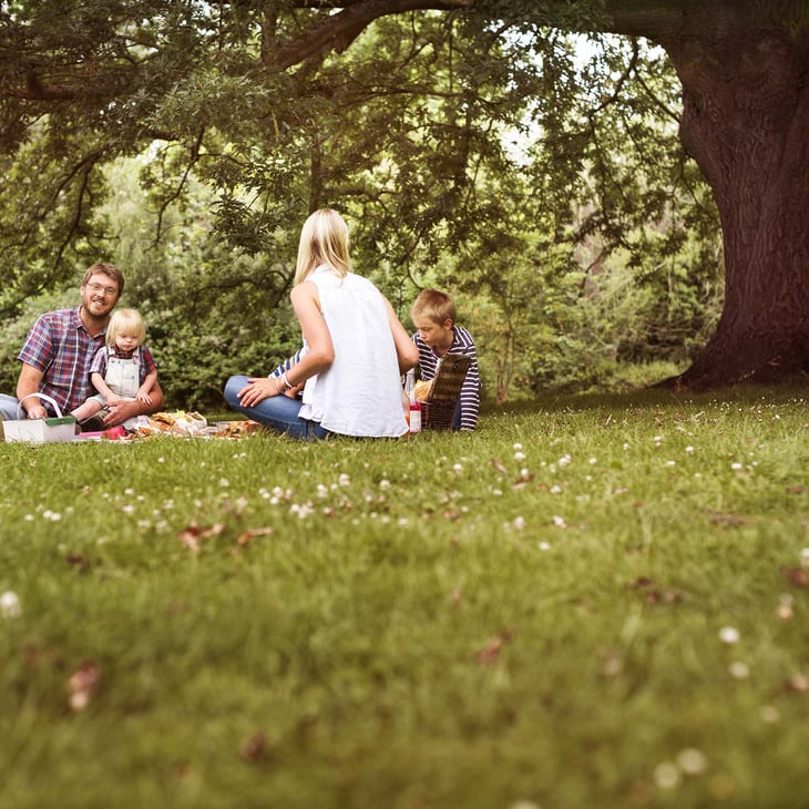 park-picnic