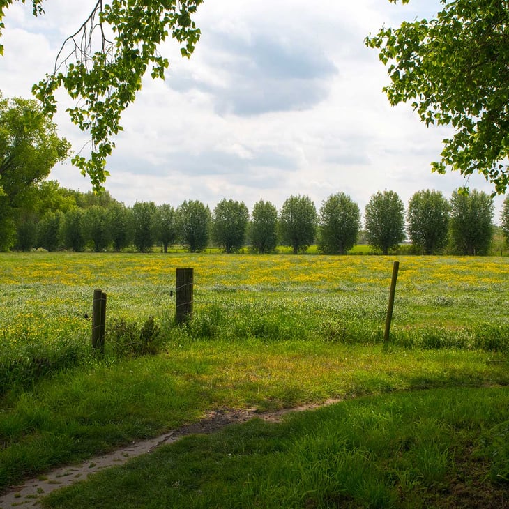 woonproject-tielt-landelijke_ligging