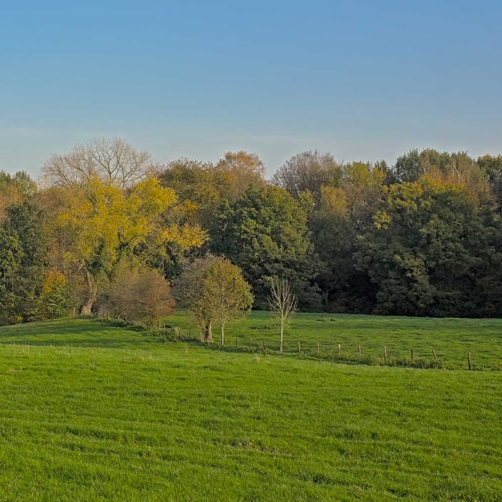 woonproject-vlaamse-ardennen-groen-wonen